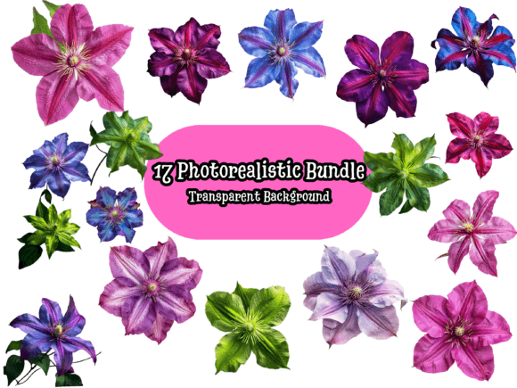 Download Photorealistic Clematis PNG Bundle - Photorealistic Collection