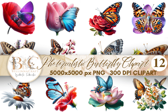 Download Photorealistic Butterfly Clipart PNG - Photorealistic Collection